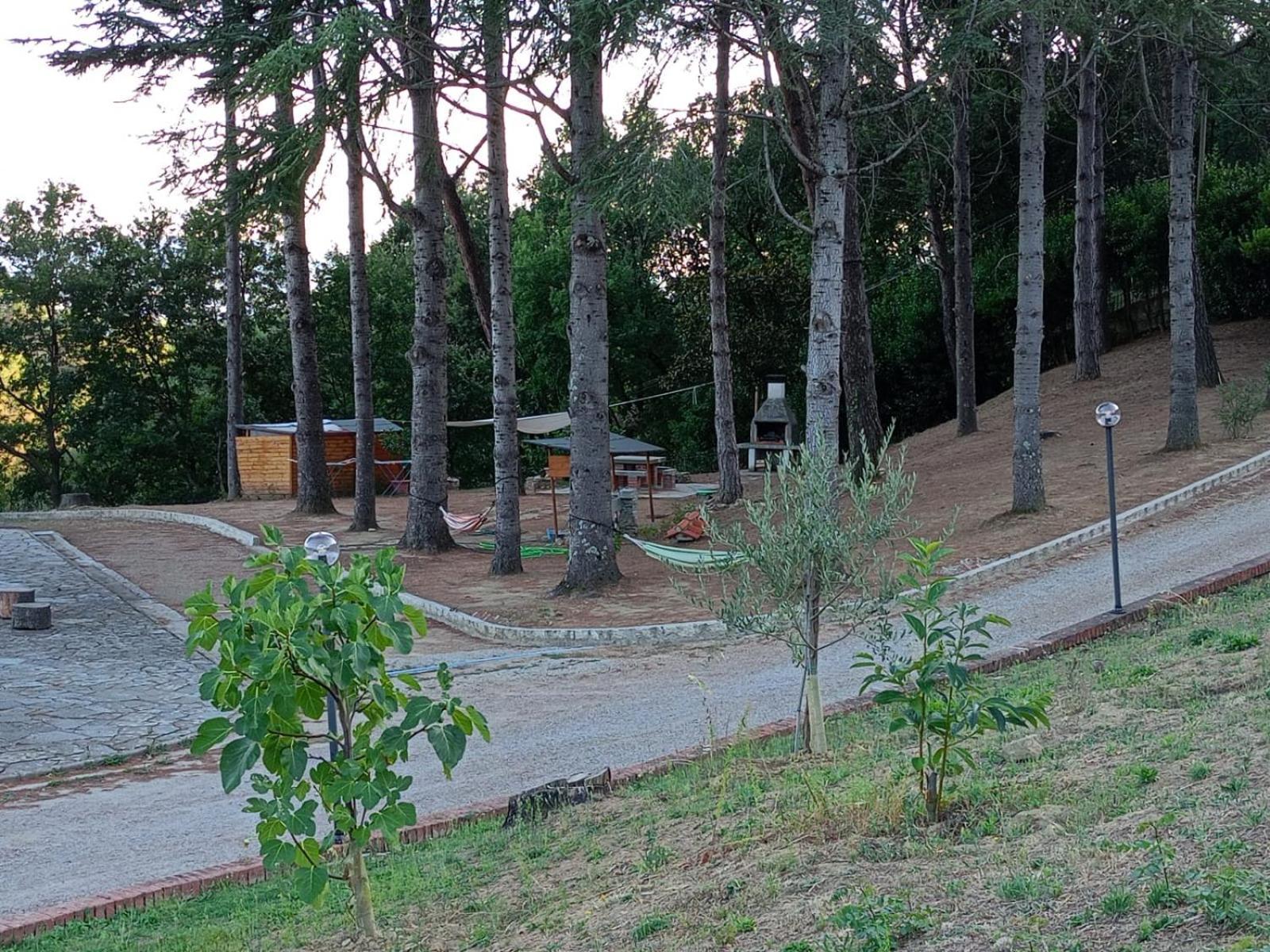 B&B Villa Bianca Sant'Agata  エクステリア 写真
